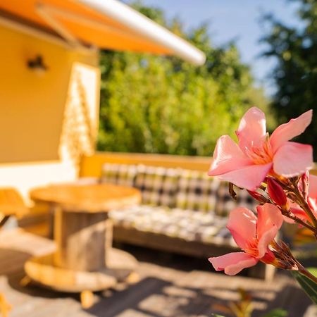 Apartment Sonnenschein Weimar  Dış mekan fotoğraf