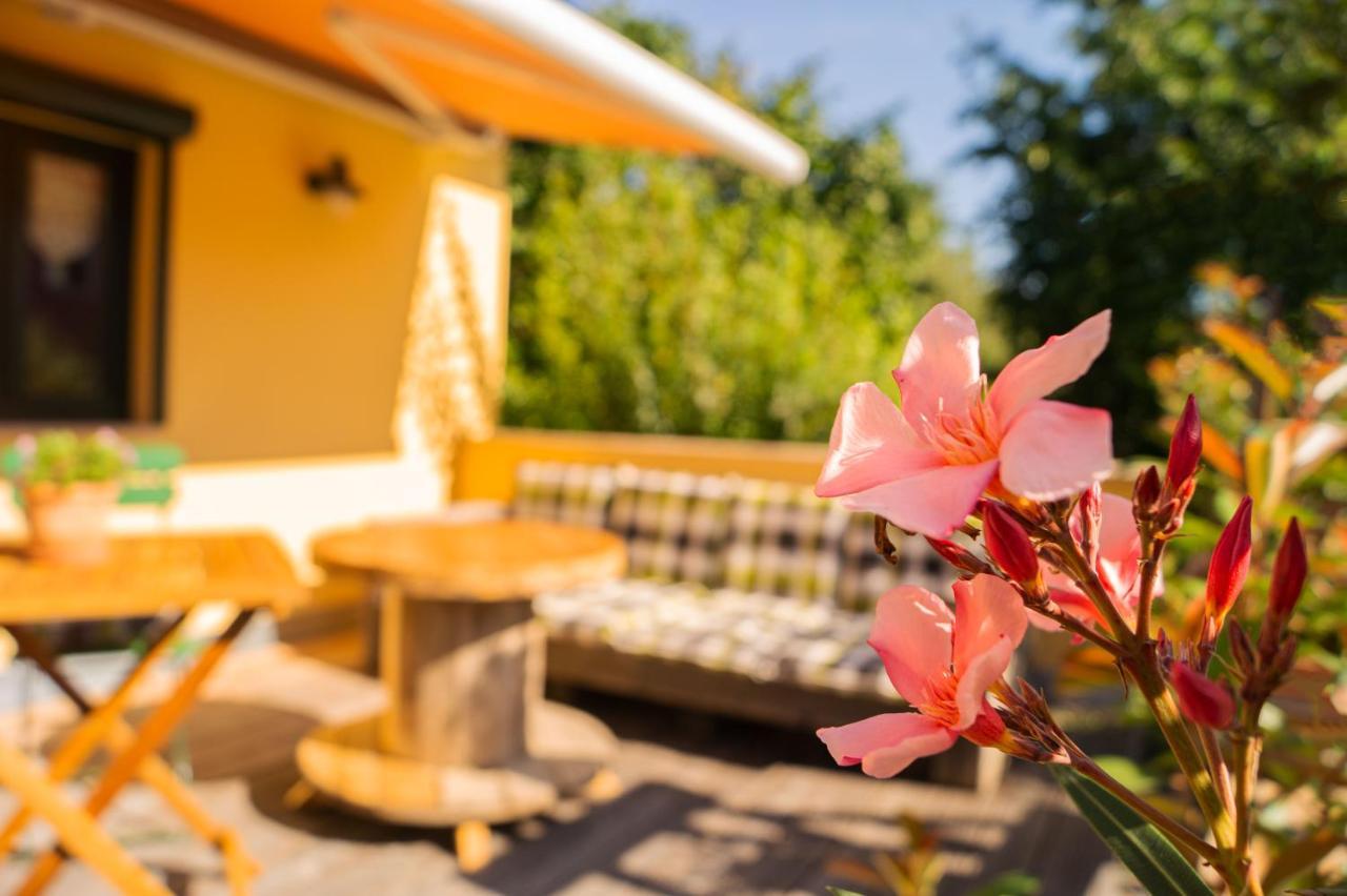 Apartment Sonnenschein Weimar  Dış mekan fotoğraf